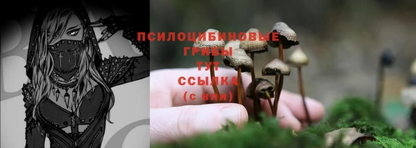 apvp Киренск