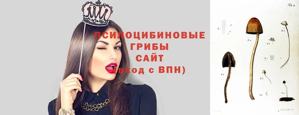 гидропоника Корсаков