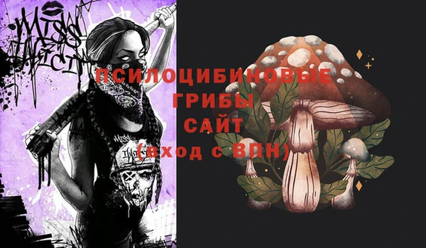 spice Киреевск