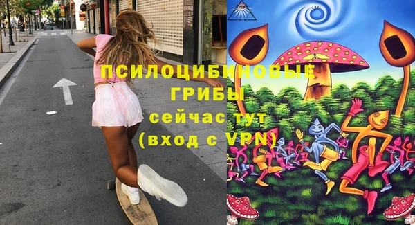 apvp Киренск
